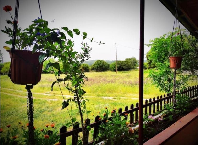 The Happy Cottage Ioannina Ngoại thất bức ảnh